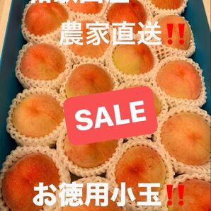 和歌山県産 桃 白鳳 農家直送 小玉 家庭用