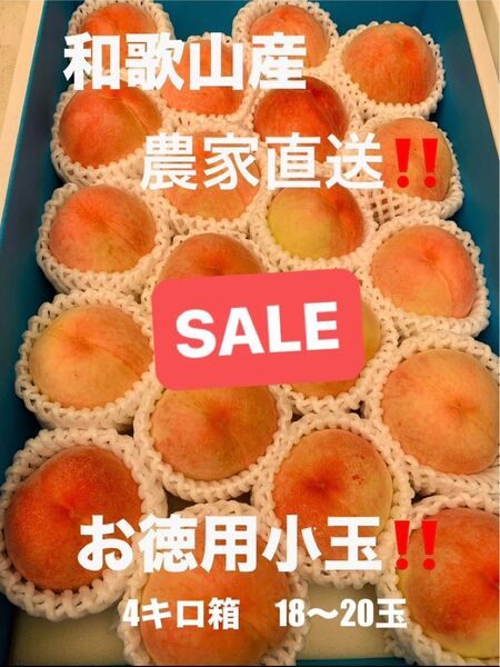 和歌山県産 桃 白鳳 農家直送 小玉 家庭用