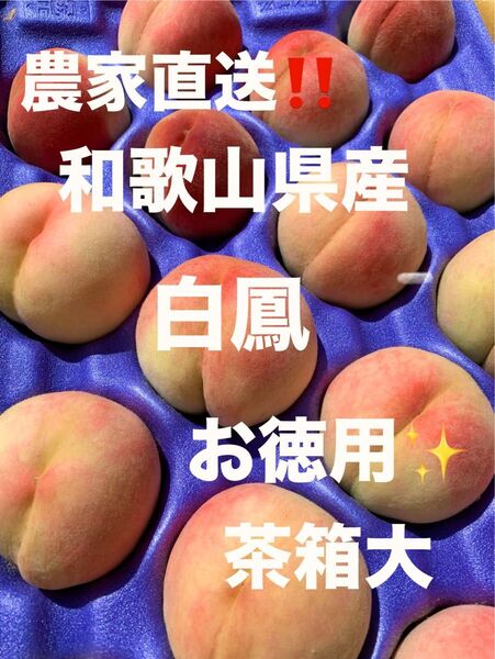 和歌山県産 桃 白鳳 農家直送 茶箱大 お徳用