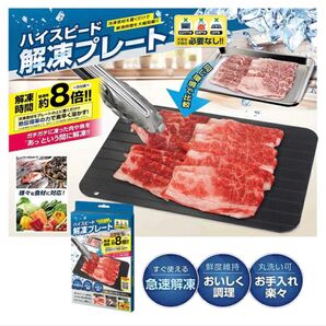 〈未使用〉置くだけ!簡単 急速解凍! ハイスピード解凍プレート Lサイズ