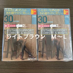 Fukuske ESTHE SUPPORT COMFORT & BEAUTY ストッキングライトブラウンM〜L2PAIRS2セット