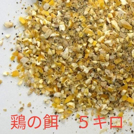 成鶏用配合飼料「鶏のエサ」5kg 鶏の餌 成鶏用 採卵用 粗たん白質17% 夏バテに
