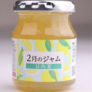 23個 全農「2月のジャム 日向夏」145g 定価9700円分 パン ヨーグルト ゼリー
