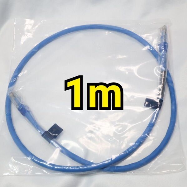 【未使用】Belden Cat6A オーディオ用LANケーブル 1m ベルデン Studio R31
