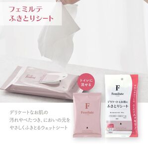 新品 フェミルテ ふきとり化粧水 ボディシート デリケートゾーン用シート フェムケア Femilute ふきとりシート 2個セット
