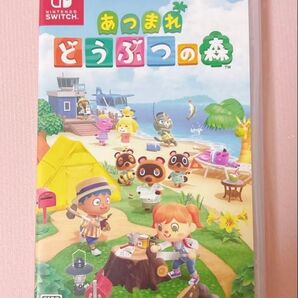 あつまれどうぶつの森 Switch あつ森 ニンテンドースイッチ