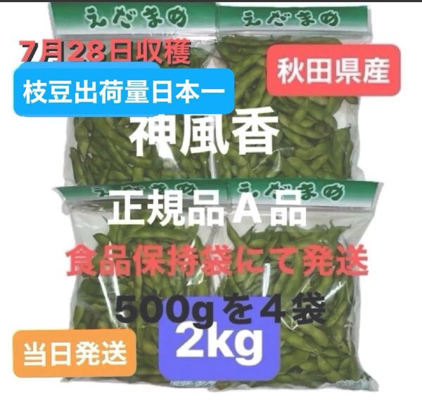 秋田県産 えだまめ 神風香 2kg (500g×4袋) 保冷バッグ&保冷剤発送 食品保持袋使用