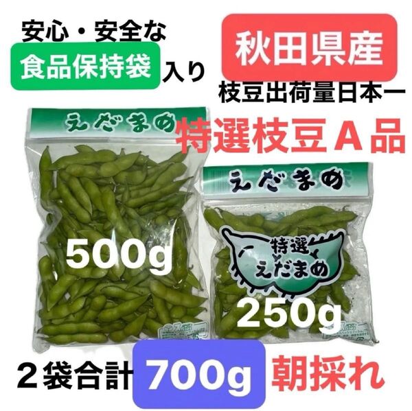 秋田県産 枝豆 青祭 合計750g(500g1袋・250g1袋)食品保持袋使用 保冷袋・保冷剤使用 8月7日収穫