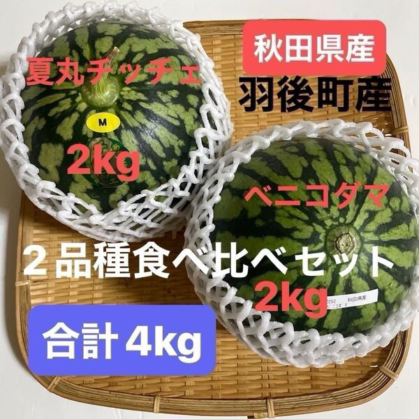 秋田県羽後町産 小玉スイカ 2品種食べ比べセット 合計4kg 紅こだま2kg 夏丸チッチェ2kg 7月12日収穫 新鮮 初物