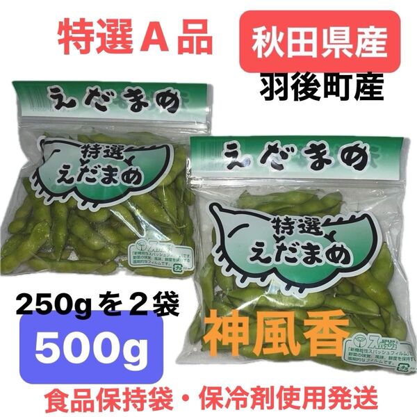 秋田県産 羽後町産 枝豆 500g (250gを2袋)神風香 スパッツュ袋(食品保持袋) 新鮮 美味良品 A品