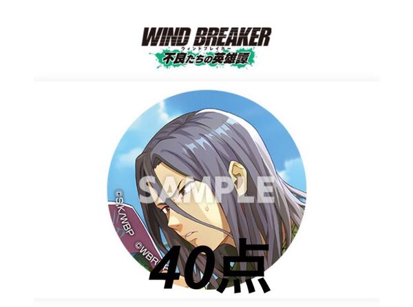 WIND BREAKER ウィンブレ ウィンヒロ 杉下京太郎 缶バッジ 杉下