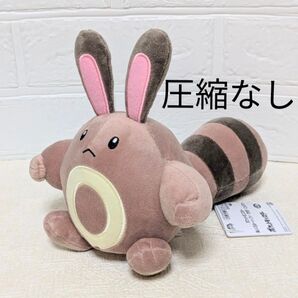 ポケットモンスター ぬいぐるみ ~イーブイ・オタチ・ヒメグマ~ 【オタチ】 ポケモン