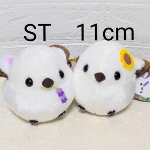 ふくふく シマエナガ カラフル フラワー ST 2種セット シマちゃん ラベンダー しまゑ ひまわり 11cm ぬいぐるみ