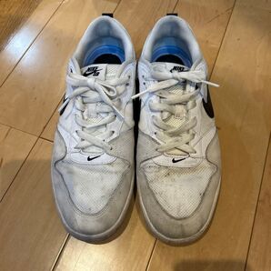 NIKE SB ALLEYOOP ナイキ エスビー アリウープ スケートボーディング ホワイト メンズ スニーカー