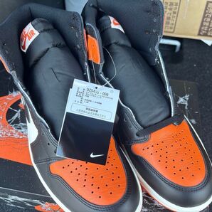 Air Jordan 1 High OG Shattered Backboard 28cm