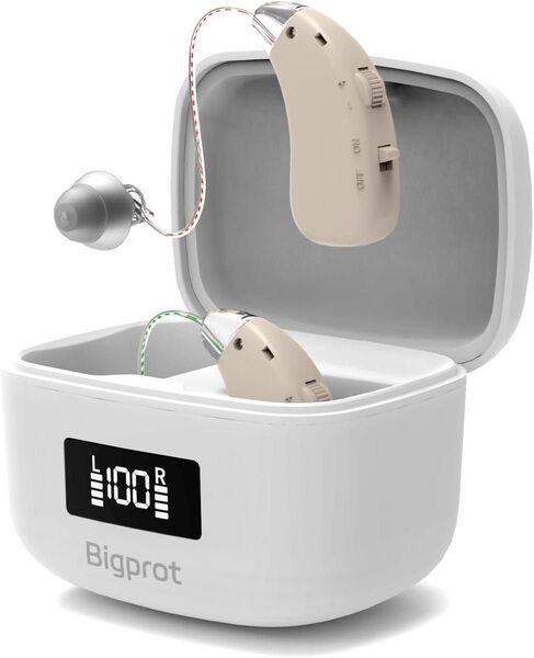 価格交渉大歓迎!【2025年革新型正規品・簡単操作 】Bigprot 楽ちんヒアリング 充電式集音器 音量調整