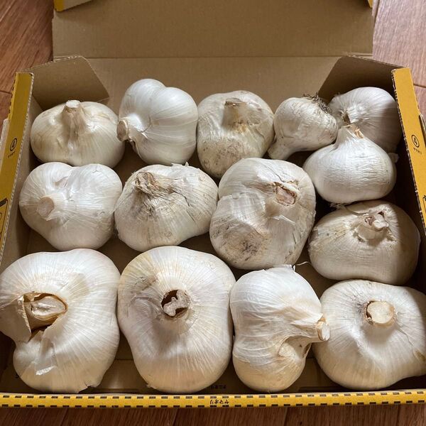 ジャンボニンニク1Kg