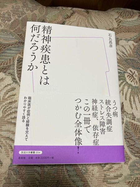 精神疾患とは何だろうか (放送大学叢書 054) 石丸昌彦/著