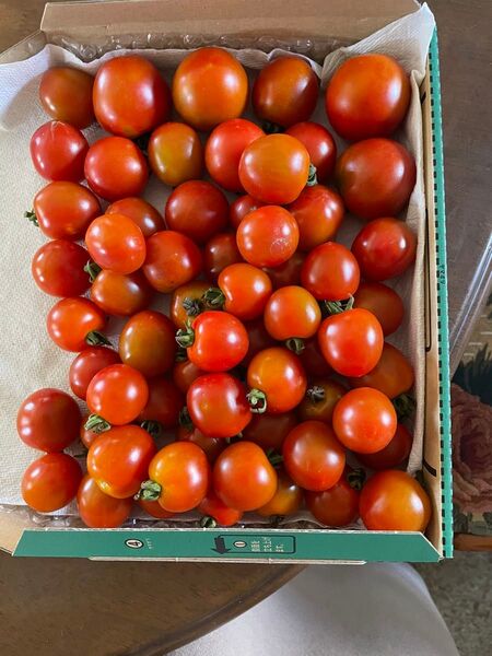 無農薬ミニトマトプレミアムルビー箱込み1.2キロ