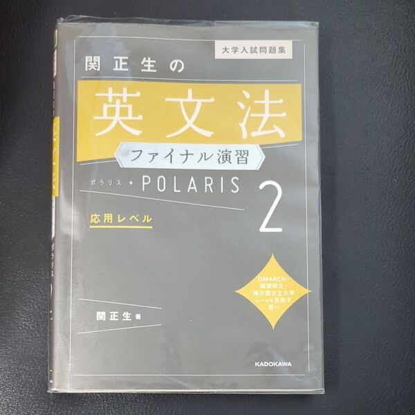 大学入試問題集関正生の英文法ファイナル演習ポラリス 2 (大学入試問題集) 関正生/著