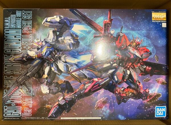 中国限定 MG 1/100 エールストライクガンダム Ver.RM 全装備型 プラモデル 未組立 機動戦士ガンダムSEED