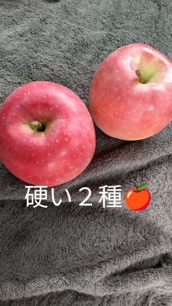 農薬不使用 弘前リンゴ むつ&シナノゴールド 合計4.8キロ梱包材込み
