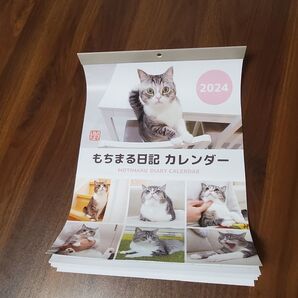 【土日SALE】 もちまる日記 ① 2024年 カレンダー