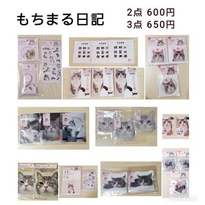 もちまる日記 ダイソー まとめ売り ダイカット スケジュール帳 ジップバック
