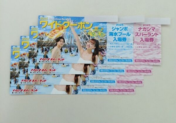 ナガシマスパーランドワイドクーポン4冊セット