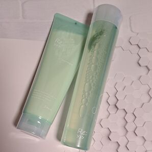 ADJUVANT アジュバン Re: シャンプー 300mL ヘアトリートメント 250g リ サロン ヘアケア 新品 未開封