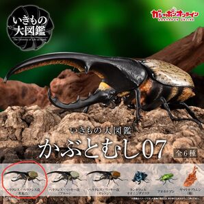 いきもの大図鑑 かぶとむし07 全6種 ヘラクレス・ヘラクレス改(黄褐色)