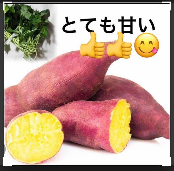 甘はづき苗10べにはるか10
