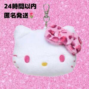 ラスト1点! ハローキティ GOGOギャル ピンクヒョウ柄 フェイス パスケース 定期入れ キティ サンリオ