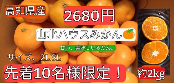 高知県産 山北ハウスみかん 激安 2kg 1箱