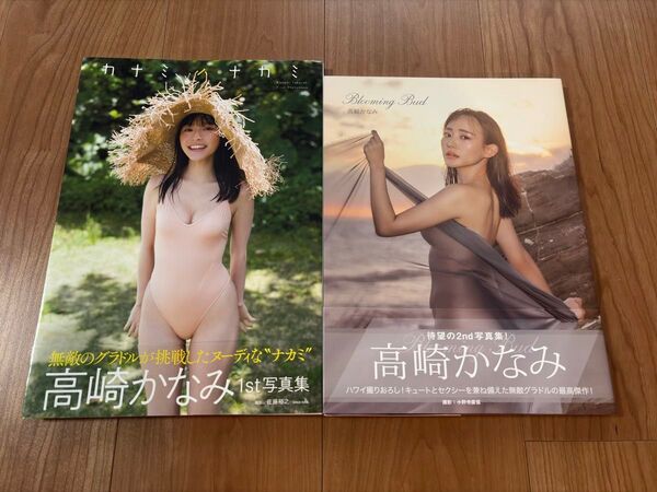 【6.3千円美品 初版本写真集2冊セット!】高崎かなみ 1st『カナミノナカミ』2nd『Blooming Bud』