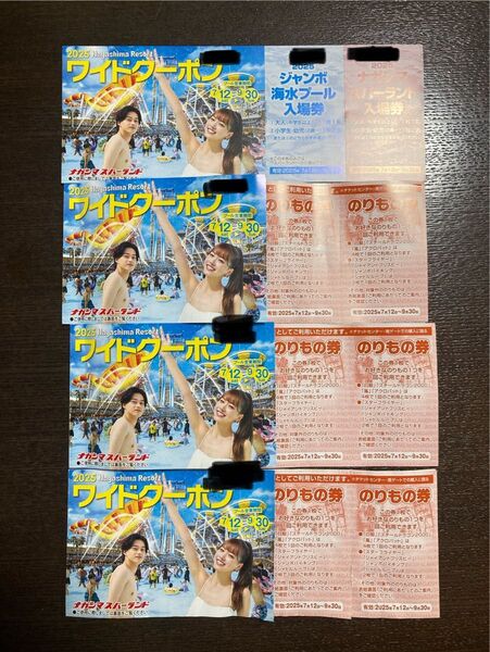 ナガシマスパーランド ジャンボ海水プール ワイドウォーターポン 入場券 のりもの券