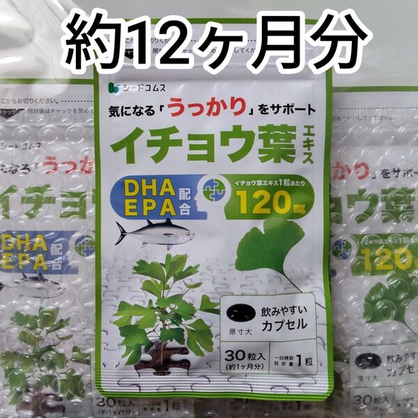 シードコムス イチョウ葉エキス DHA・EPA 配合 約12ヶ月分 サプリメント