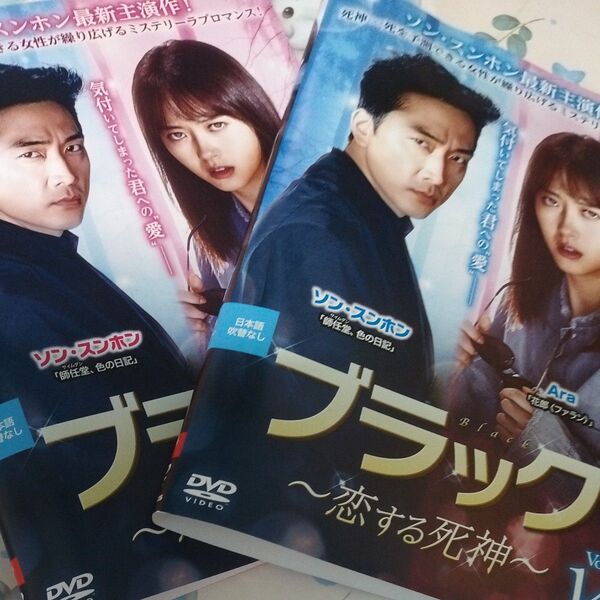 韓国ドラマDVD ブラック 全巻セット レンタル落ち ソン・スンホン Ara