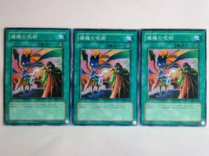  pain soul. ..SDM normal Yugioh 3 pieces set 