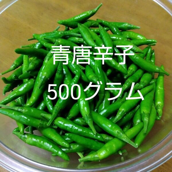 青唐辛子 500グラム