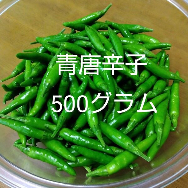 青唐辛子 500グラム