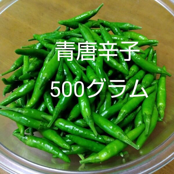 青唐辛子 500グラム