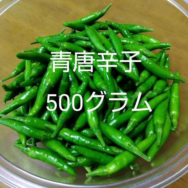 青唐辛子 500グラム