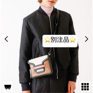 PIERRE HARDY ★ALPHA ポーチ【40周年】別注品 レア★新品