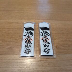 一陽来復 懐中御守り 2体