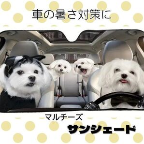 【新品】車用サンシェード マルチーズ 犬 日よけ 遮光 フロントサンシェード フロントガラス 車内温度対策 車駐車サイン