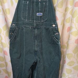 BIGSMITH ビッグスミス ダークグリーン オーバーオール 36x30
