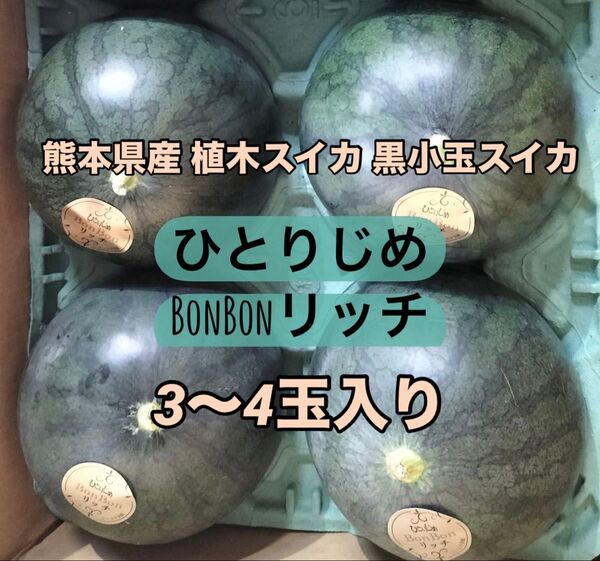 熊本県産 植木スイカ 黒小玉スイカ ひとりじめBonBonリッチ 3~4玉入り 家庭用