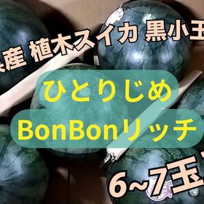 熊本県産 植木スイカ 黒小玉スイカ ひとりじめBonBonリッチ 6〜7玉入り 家庭用