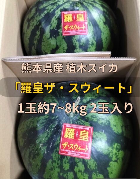 熊本県産 植木スイカ 羅皇ザ・スウィート 1玉約7~8kg 2玉入り 家庭用